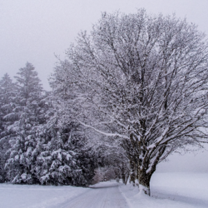 Anna-Märta Andreasson